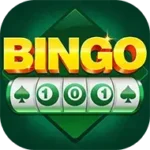 Bingo 101