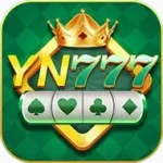 YN 777